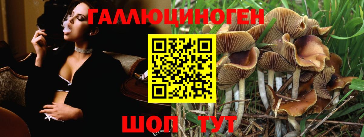 Галлюциногенные грибы Cubensis Изобильный